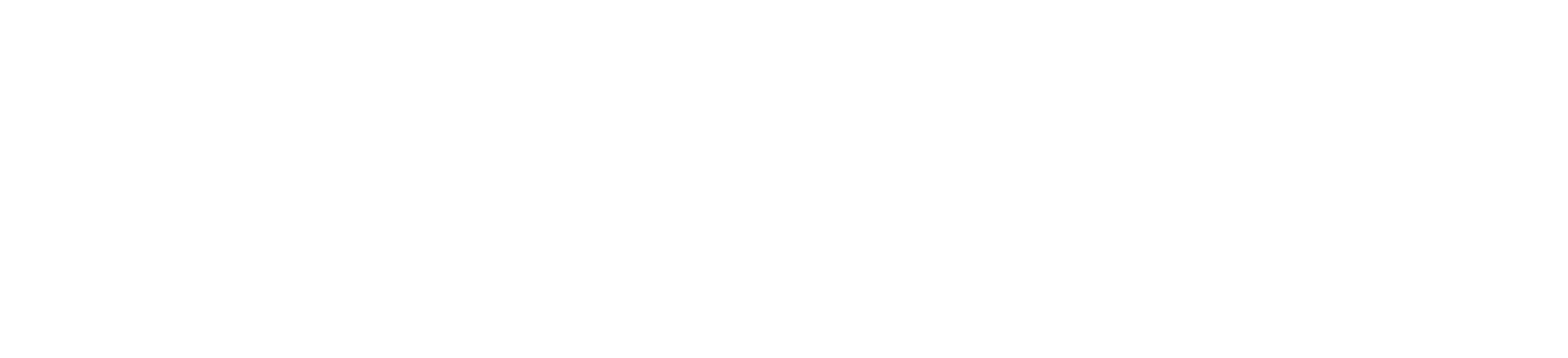 WelloBag